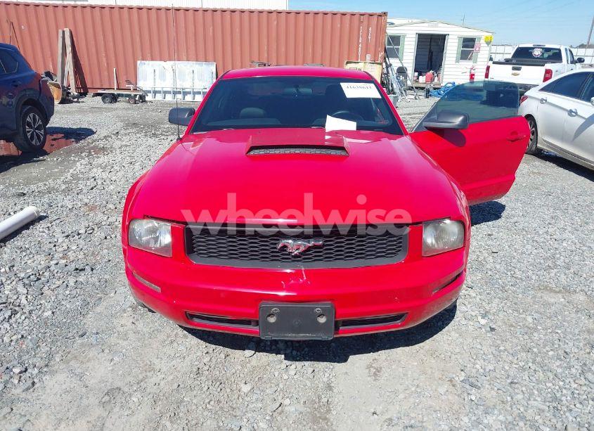 Photo 6 of 2006 Ford Mustang V6 (VIN 1ZVFT80N765220966)