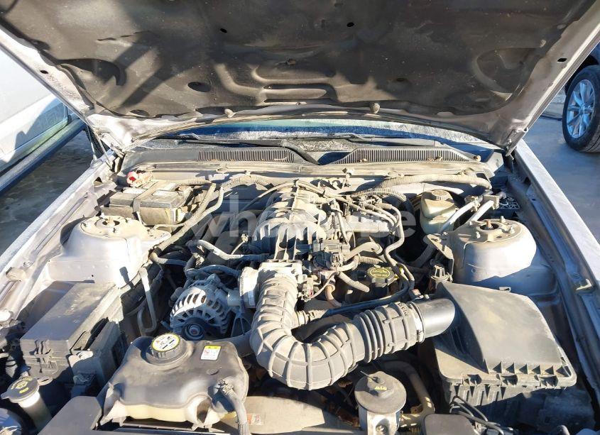 Photo 10 of 2006 Ford Mustang V6 (VIN 1ZVFT80N765233121)