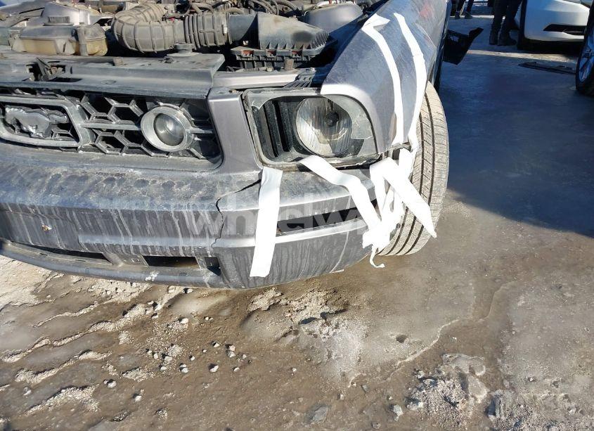 Photo 6 of 2006 Ford Mustang V6 (VIN 1ZVFT80N765233121)