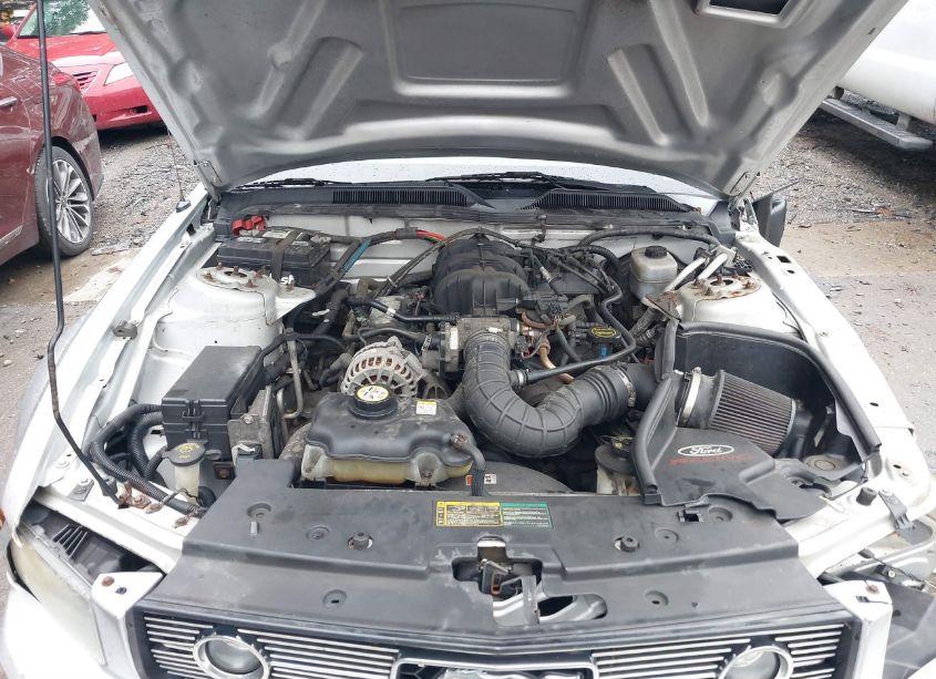 Photo 10 of 2006 Ford Mustang V6 (VIN 1ZVFT80N765242725)