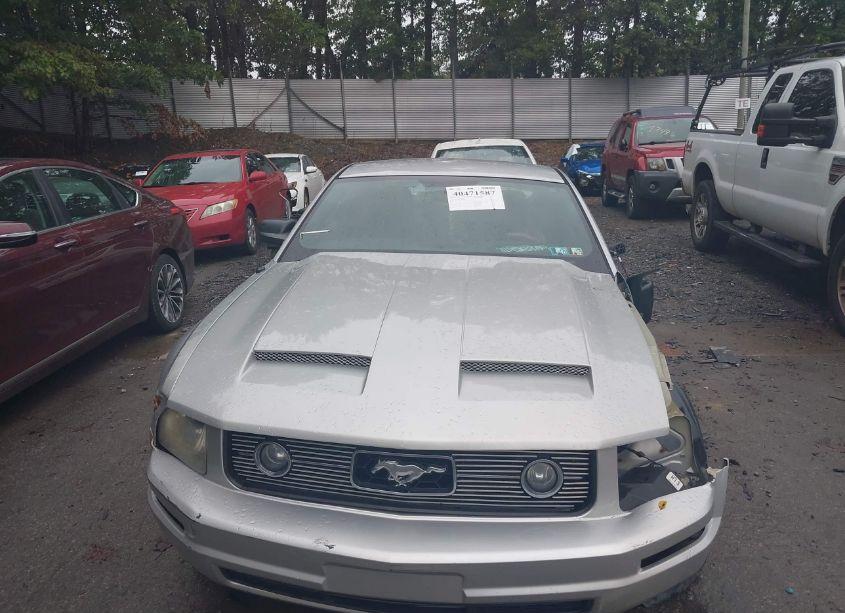 Photo 12 of 2006 Ford Mustang V6 (VIN 1ZVFT80N765242725)