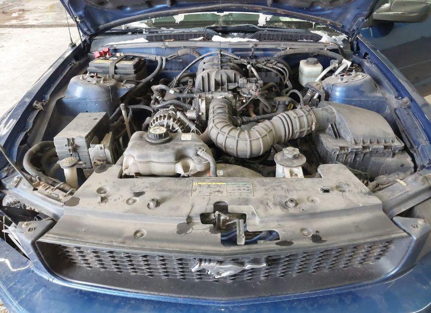 Photo 10 of 2006 Ford Mustang V6 (VIN 1ZVFT80N765244720)