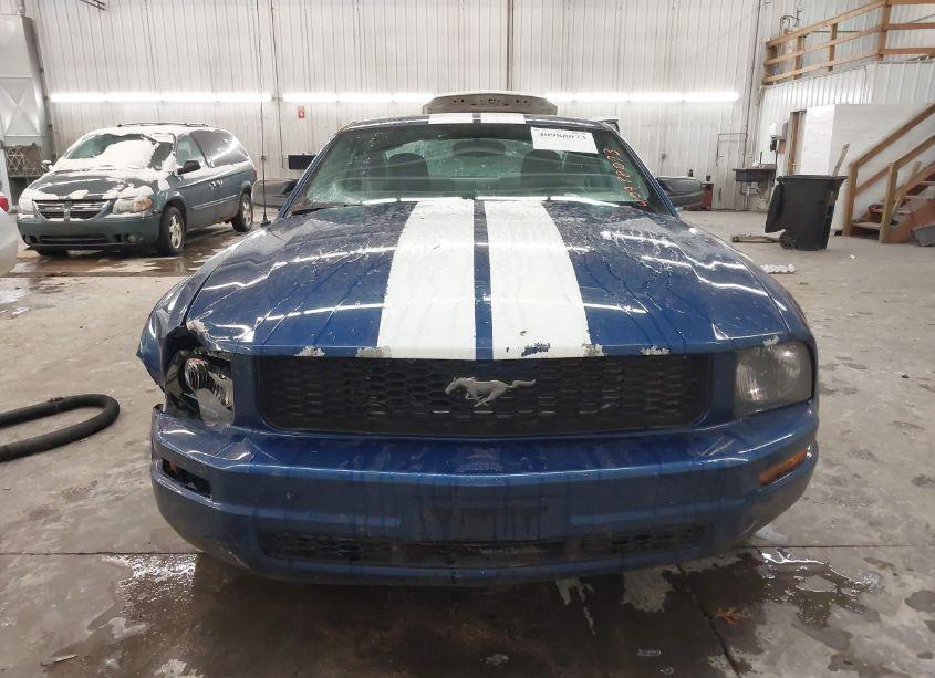 Photo 12 of 2006 Ford Mustang V6 (VIN 1ZVFT80N765244720)