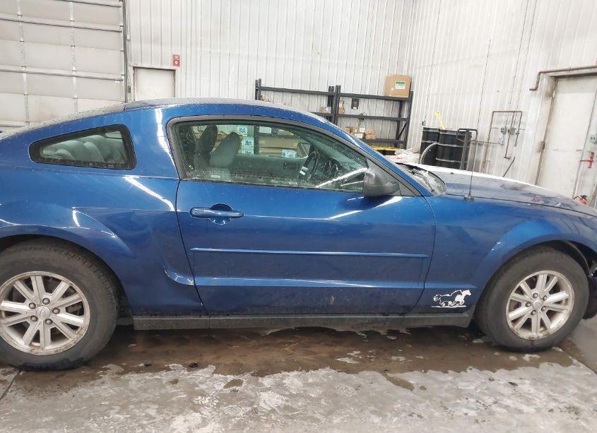 Photo 13 of 2006 Ford Mustang V6 (VIN 1ZVFT80N765244720)