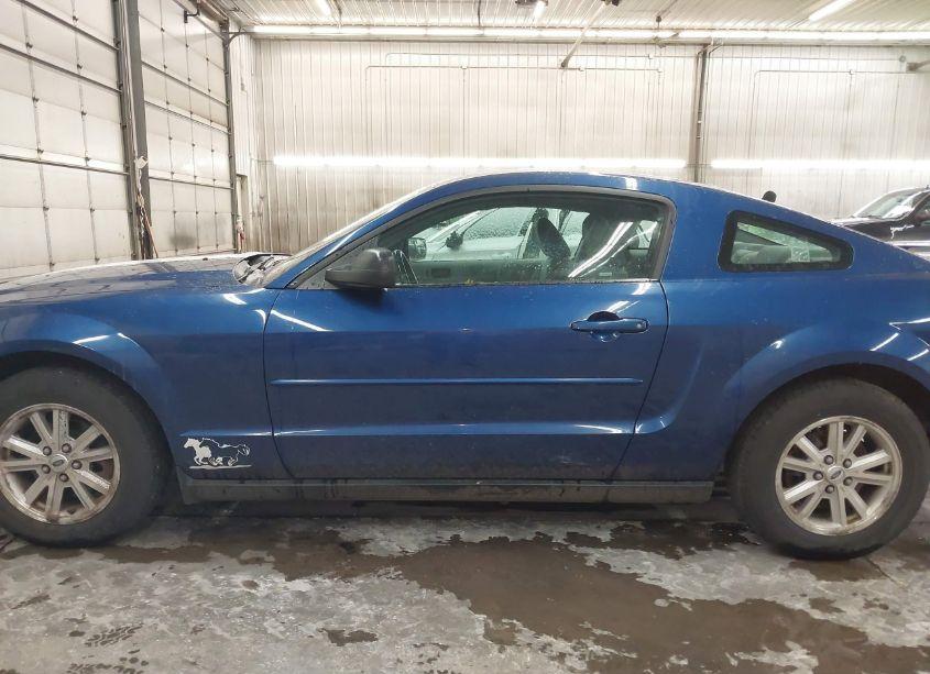 Photo 14 of 2006 Ford Mustang V6 (VIN 1ZVFT80N765244720)