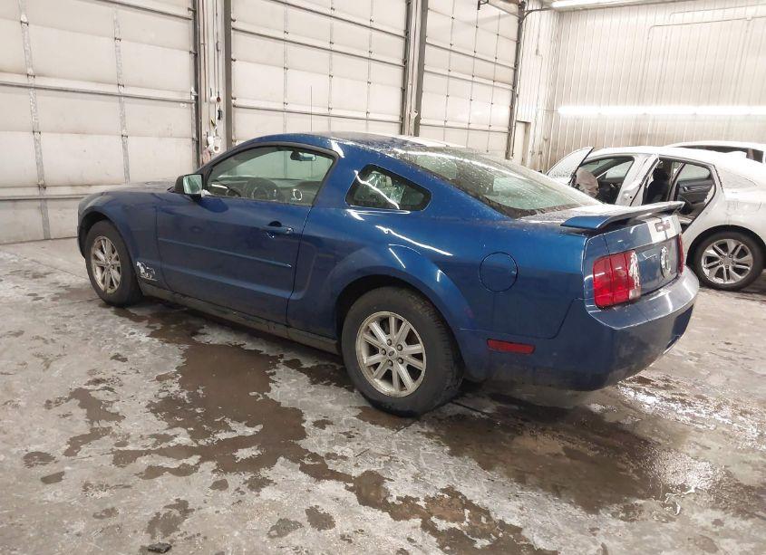 Photo 3 of 2006 Ford Mustang V6 (VIN 1ZVFT80N765244720)