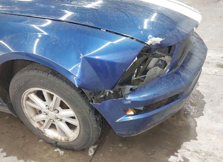 Photo 6 of 2006 Ford Mustang V6 (VIN 1ZVFT80N765244720)