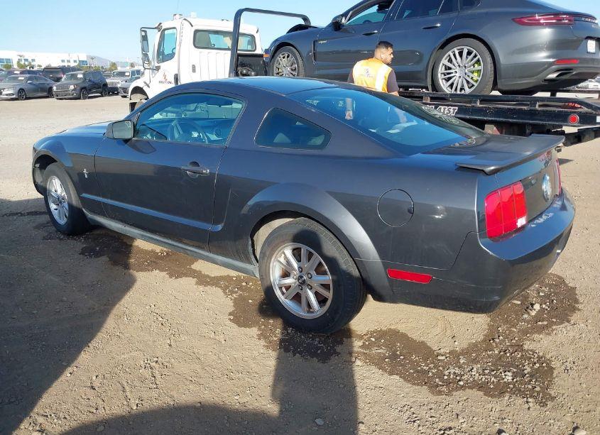 Photo 3 of 2007 Ford Mustang V6 DELUXE/V6 PREMIUM (VIN 1ZVFT80N775247683)