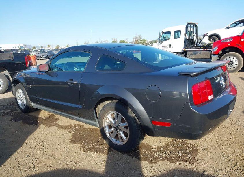 Photo 6 of 2007 Ford Mustang V6 DELUXE/V6 PREMIUM (VIN 1ZVFT80N775247683)