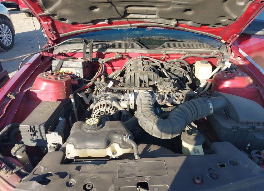 Photo 10 of 2007 Ford Mustang V6 DELUXE/V6 PREMIUM (VIN 1ZVFT80N775296060)