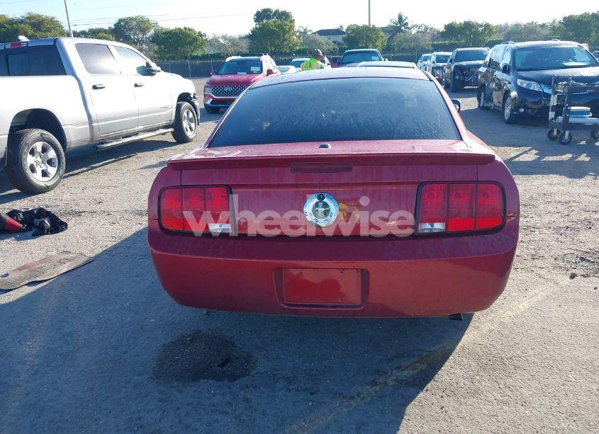 Photo 16 of 2007 Ford Mustang V6 DELUXE/V6 PREMIUM (VIN 1ZVFT80N775296060)