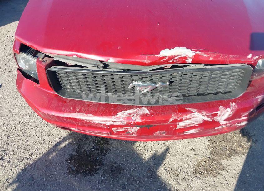 Photo 6 of 2007 Ford Mustang V6 DELUXE/V6 PREMIUM (VIN 1ZVFT80N775296060)