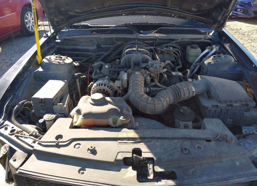 Photo 10 of 2007 Ford Mustang V6 DELUXE/V6 PREMIUM (VIN 1ZVFT80N775310684)