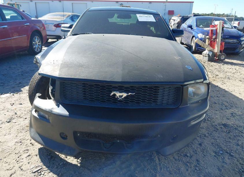 Photo 12 of 2007 Ford Mustang V6 DELUXE/V6 PREMIUM (VIN 1ZVFT80N775310684)