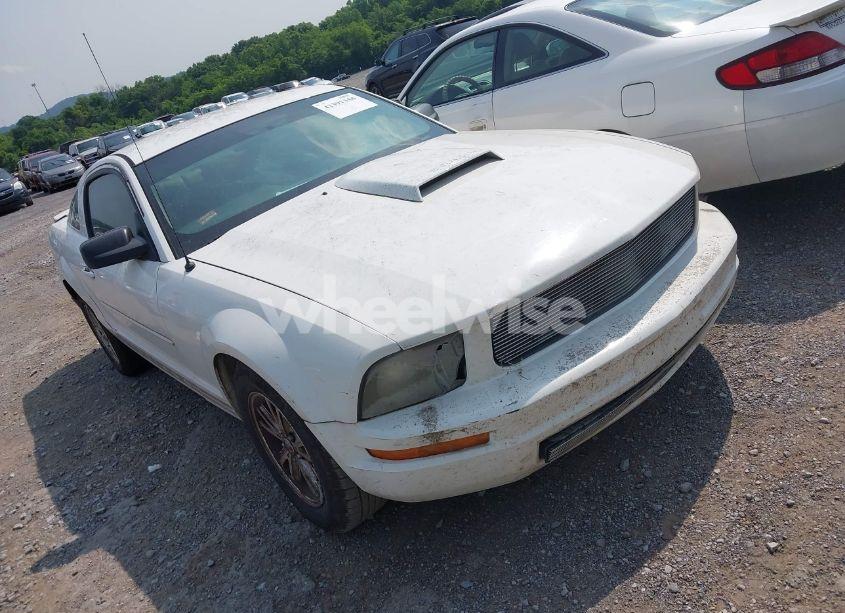 2007 Ford Mustang V6 DELUXE/V6 PREMIUM (VIN 1ZVFT80N775312340) main photo