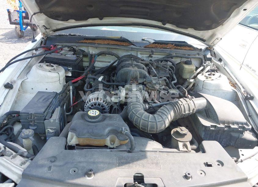 Photo 10 of 2007 Ford Mustang V6 DELUXE/V6 PREMIUM (VIN 1ZVFT80N775312340)