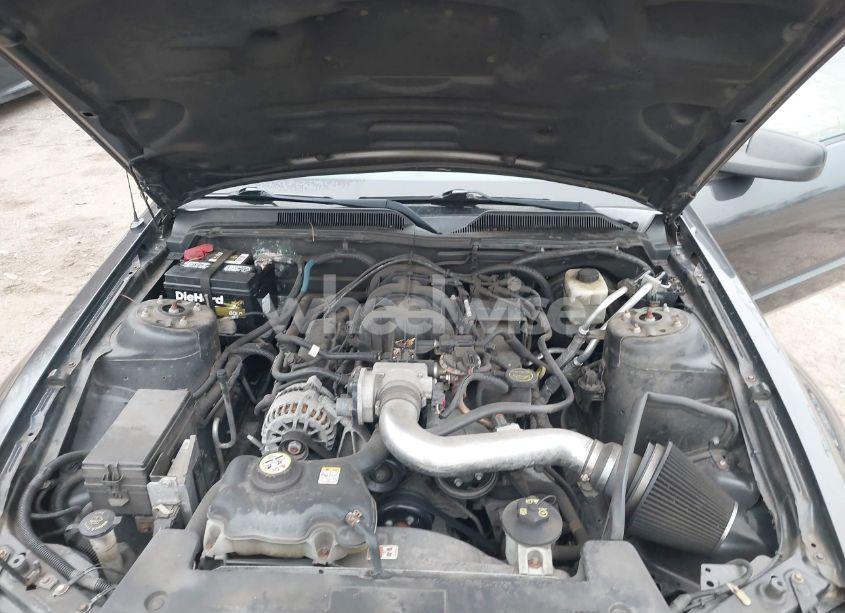 Photo 10 of 2007 Ford Mustang V6 DELUXE/V6 PREMIUM (VIN 1ZVFT80N775324553)
