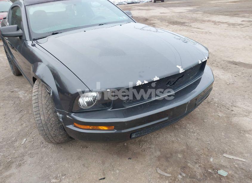 Photo 6 of 2007 Ford Mustang V6 DELUXE/V6 PREMIUM (VIN 1ZVFT80N775324553)