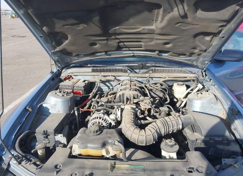 Photo 10 of 2007 Ford Mustang V6 DELUXE/V6 PREMIUM (VIN 1ZVFT80N775350280)