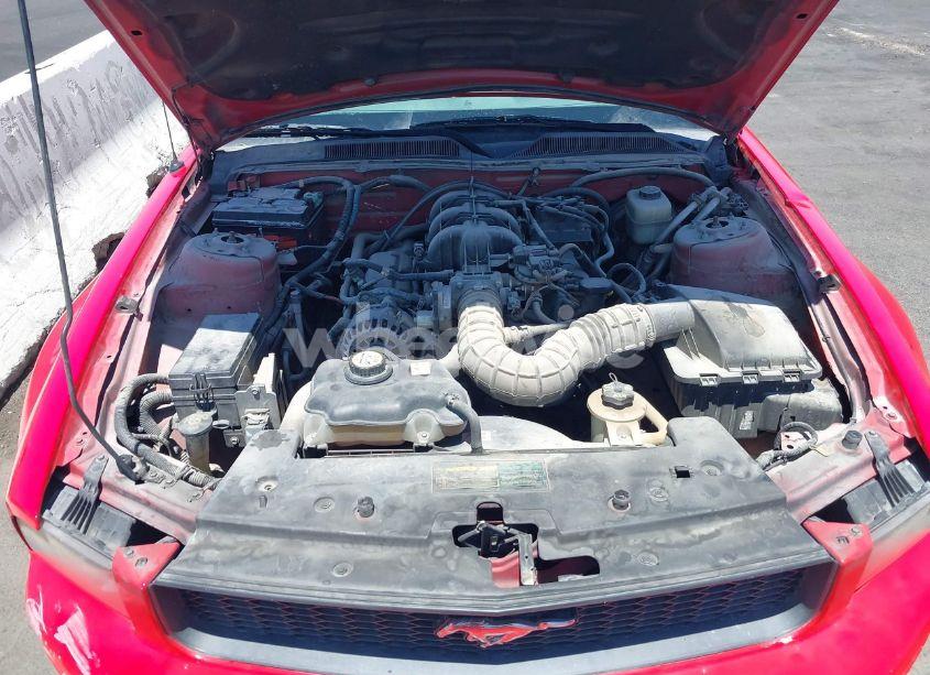 Photo 10 of 2007 Ford Mustang V6 DELUXE/V6 PREMIUM (VIN 1ZVFT80N775352384)