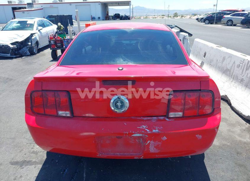 Photo 12 of 2007 Ford Mustang V6 DELUXE/V6 PREMIUM (VIN 1ZVFT80N775352384)