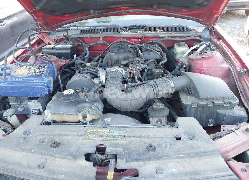Photo 10 of 2005 Ford Mustang V6 DELUXE/V6 PREMIUM (VIN 1ZVFT80N855132474)