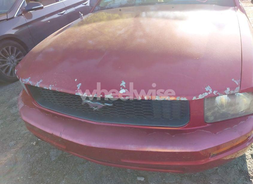 Photo 12 of 2005 Ford Mustang V6 DELUXE/V6 PREMIUM (VIN 1ZVFT80N855132474)