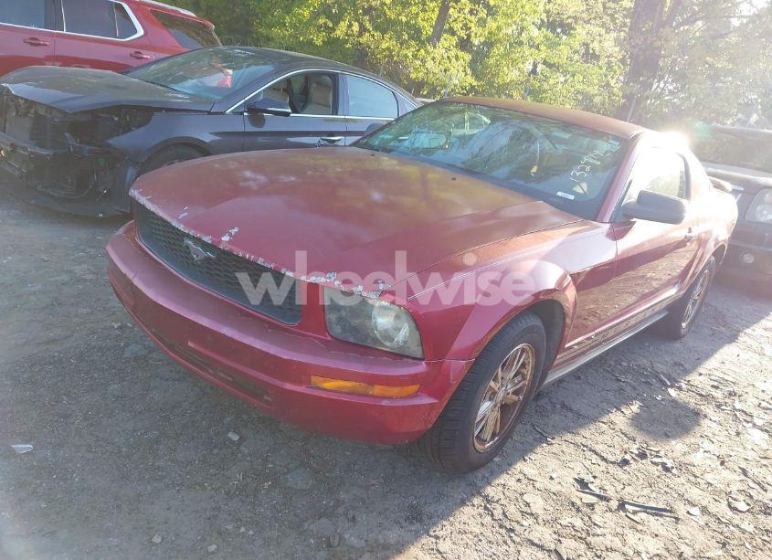 Photo 2 of 2005 Ford Mustang V6 DELUXE/V6 PREMIUM (VIN 1ZVFT80N855132474)