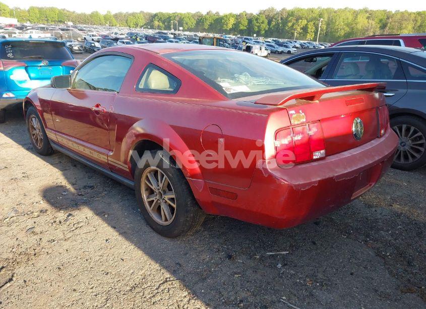 Photo 3 of 2005 Ford Mustang V6 DELUXE/V6 PREMIUM (VIN 1ZVFT80N855132474)