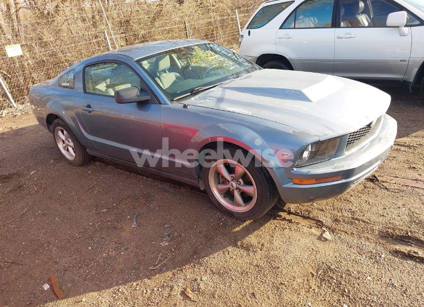 2005 Ford Mustang V6 DELUXE/V6 PREMIUM (VIN 1ZVFT80N855137996) main photo