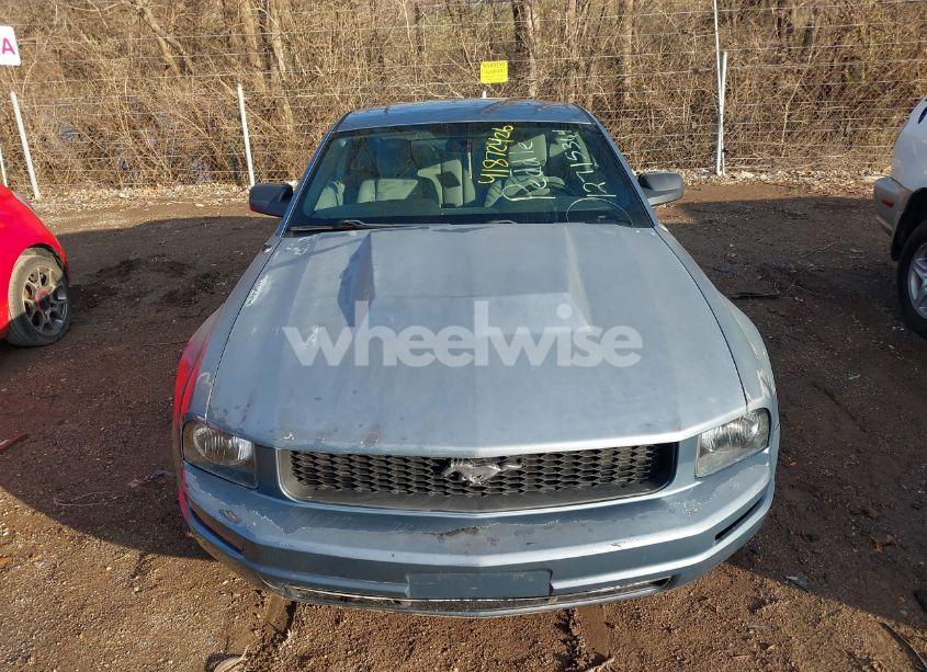 Photo 6 of 2005 Ford Mustang V6 DELUXE/V6 PREMIUM (VIN 1ZVFT80N855137996)