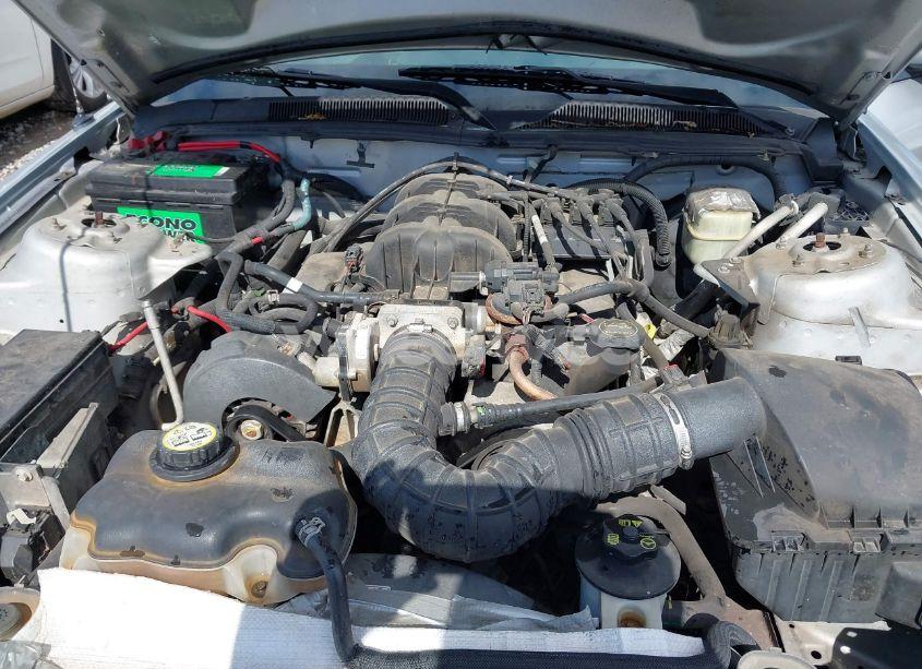 Photo 10 of 2005 Ford Mustang V6 DELUXE/V6 PREMIUM (VIN 1ZVFT80N855148982)