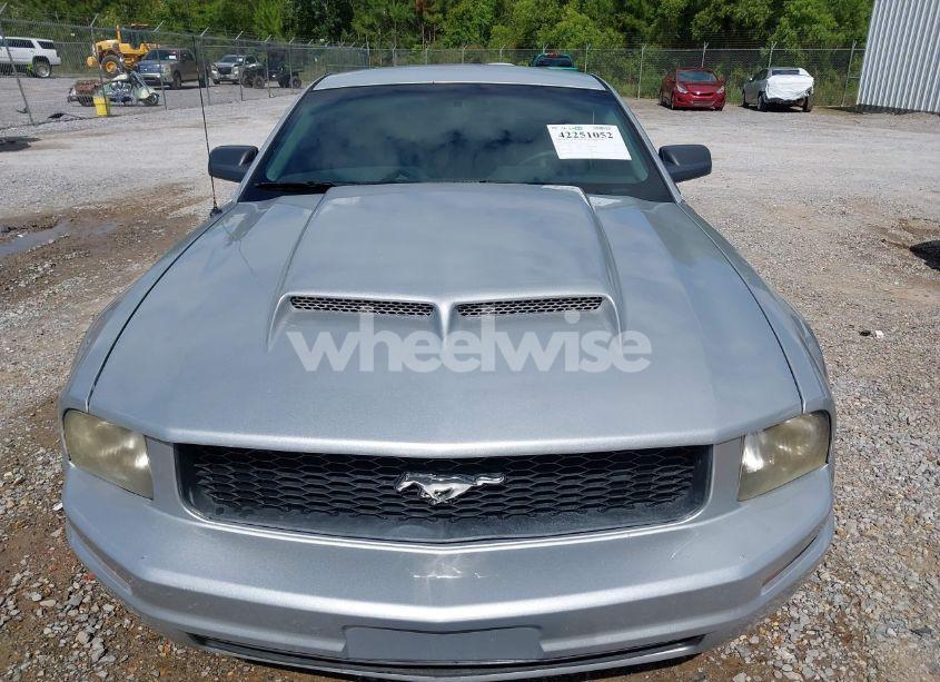 Photo 6 of 2005 Ford Mustang V6 DELUXE/V6 PREMIUM (VIN 1ZVFT80N855148982)