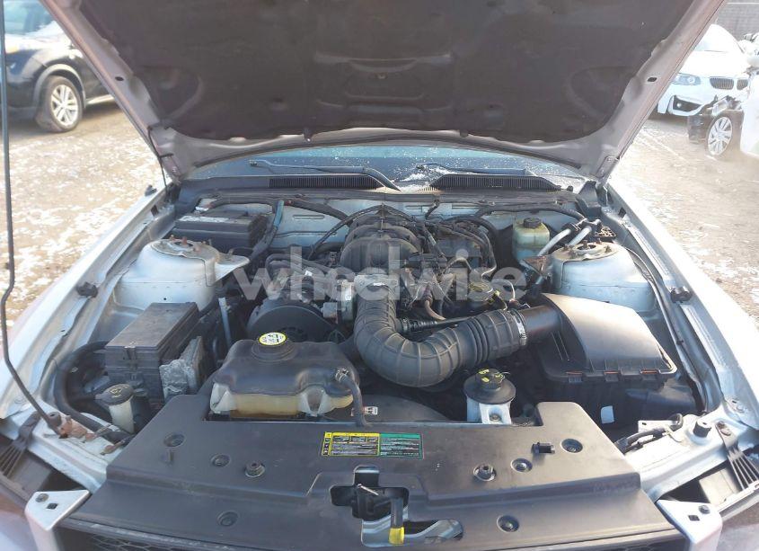 Photo 10 of 2005 Ford Mustang V6 DELUXE/V6 PREMIUM (VIN 1ZVFT80N855149405)