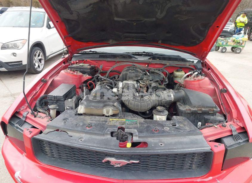 Photo 10 of 2005 Ford Mustang V6 DELUXE/V6 PREMIUM (VIN 1ZVFT80N855159495)