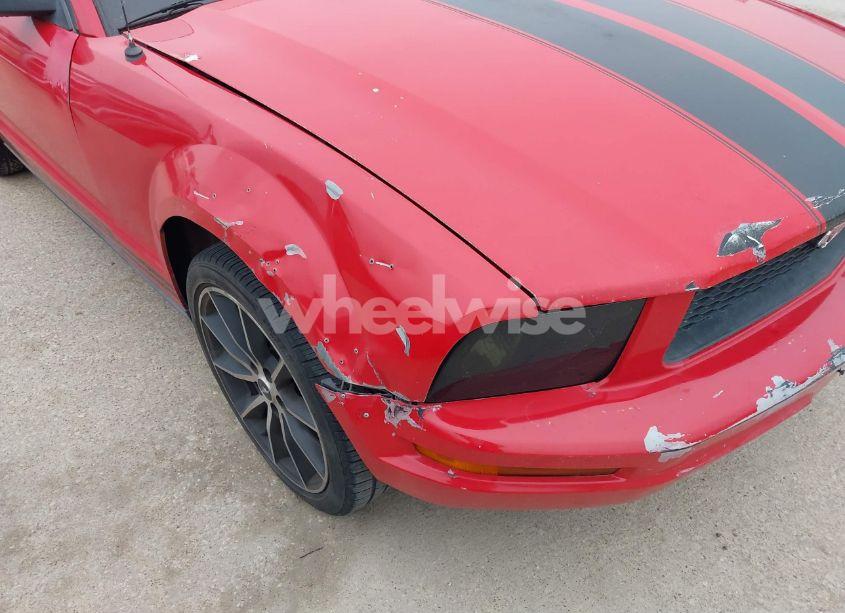 Photo 6 of 2005 Ford Mustang V6 DELUXE/V6 PREMIUM (VIN 1ZVFT80N855159495)