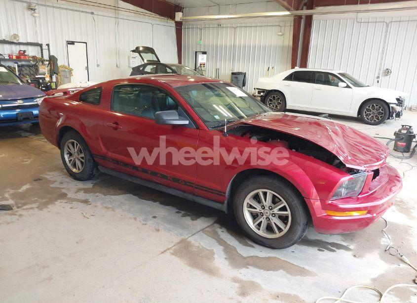 2005 Ford Mustang V6 DELUXE/V6 PREMIUM (VIN 1ZVFT80N855168195) main photo