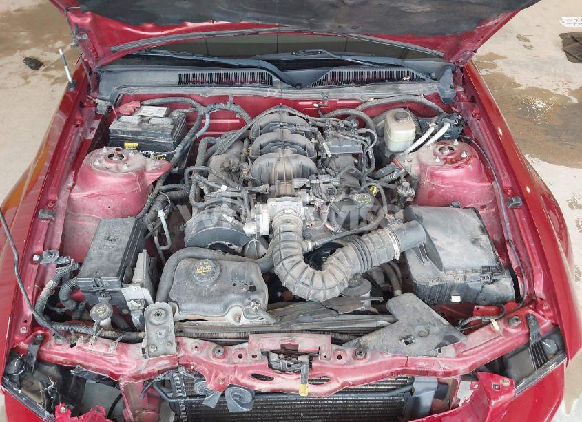 Photo 10 of 2005 Ford Mustang V6 DELUXE/V6 PREMIUM (VIN 1ZVFT80N855168195)