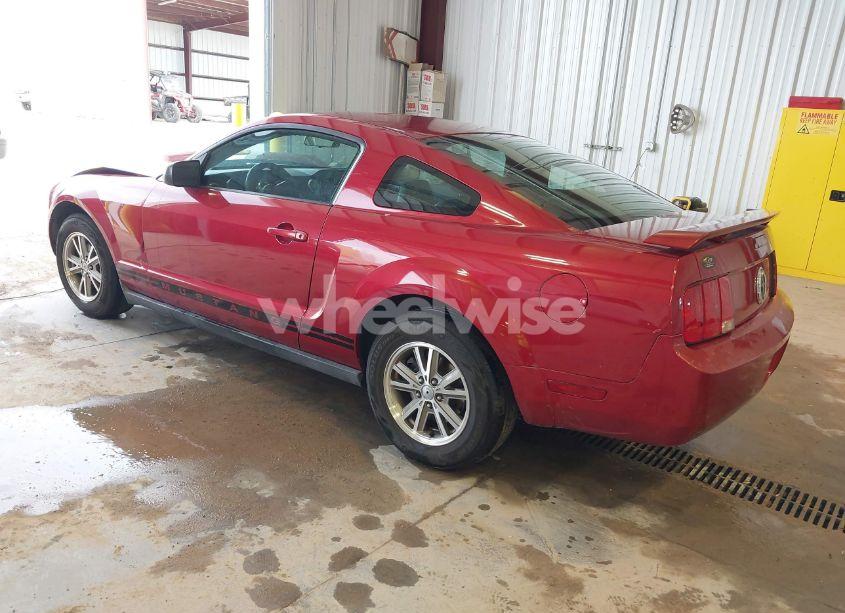 Photo 3 of 2005 Ford Mustang V6 DELUXE/V6 PREMIUM (VIN 1ZVFT80N855168195)