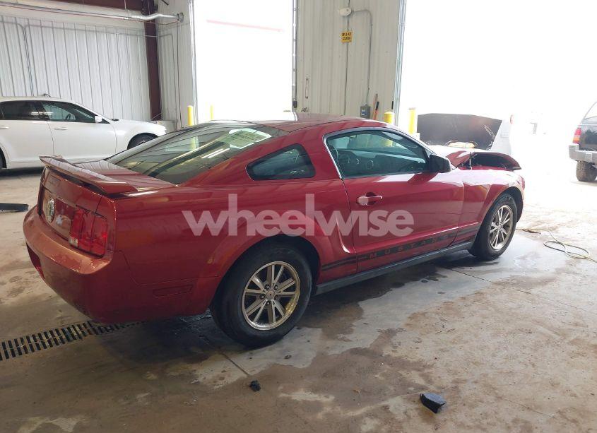 Photo 4 of 2005 Ford Mustang V6 DELUXE/V6 PREMIUM (VIN 1ZVFT80N855168195)