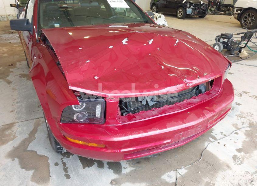 Photo 6 of 2005 Ford Mustang V6 DELUXE/V6 PREMIUM (VIN 1ZVFT80N855168195)