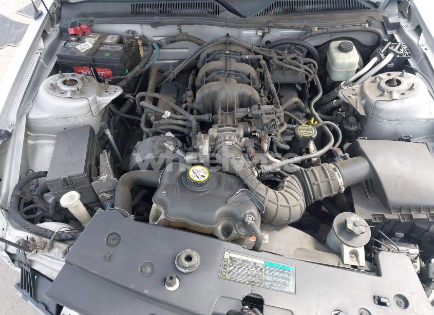 Photo 10 of 2005 Ford Mustang V6 DELUXE/V6 PREMIUM (VIN 1ZVFT80N855189337)