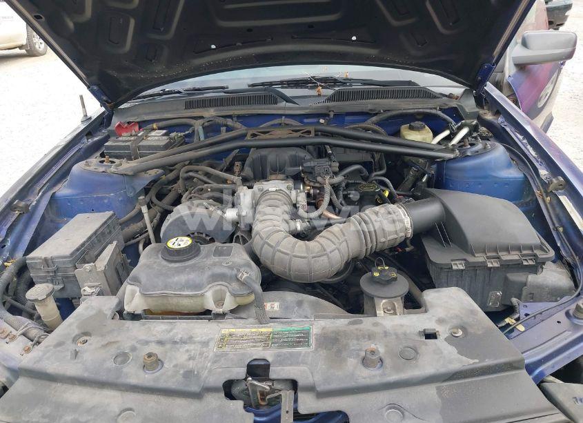 Photo 10 of 2005 Ford Mustang V6 DELUXE/V6 PREMIUM (VIN 1ZVFT80N855245440)