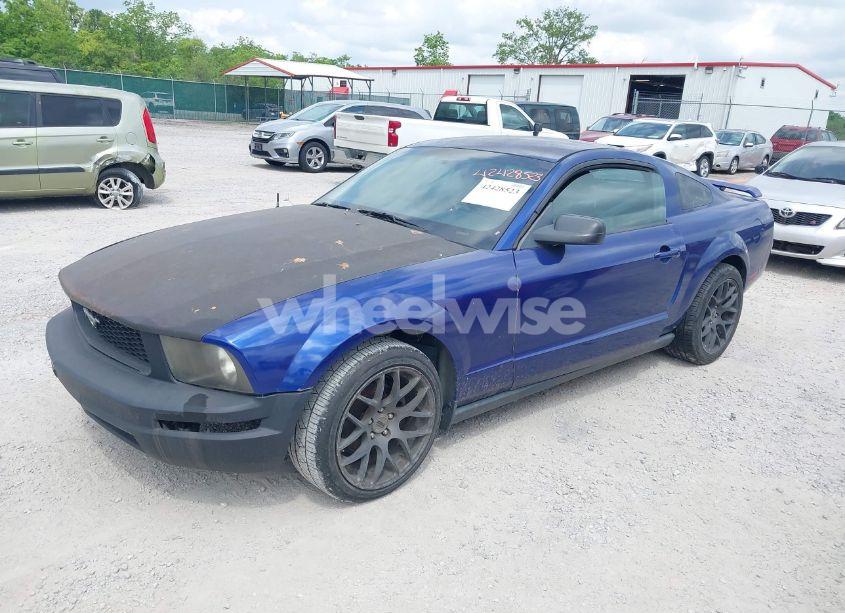 Photo 2 of 2005 Ford Mustang V6 DELUXE/V6 PREMIUM (VIN 1ZVFT80N855245440)