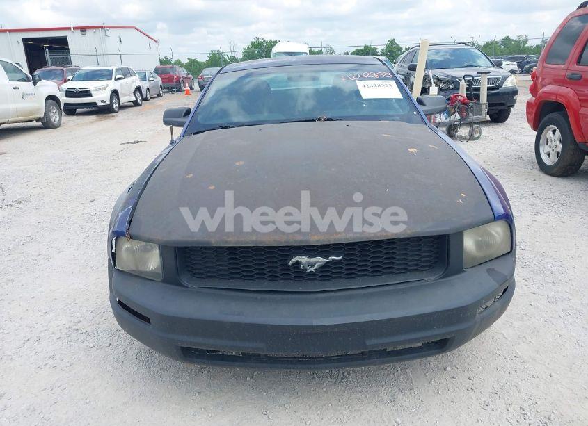 Photo 6 of 2005 Ford Mustang V6 DELUXE/V6 PREMIUM (VIN 1ZVFT80N855245440)