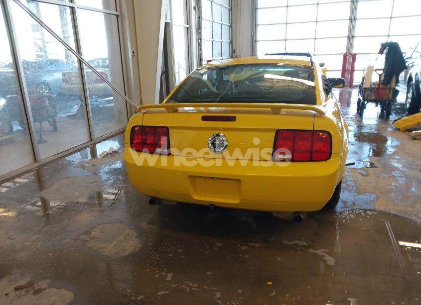 Photo 17 of 2005 Ford Mustang V6 DELUXE/V6 PREMIUM (VIN 1ZVFT80N855251769)