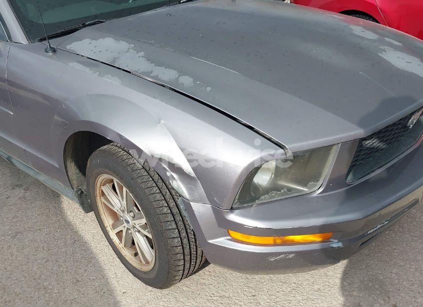 Photo 6 of 2006 Ford Mustang V6 (VIN 1ZVFT80N865104708)