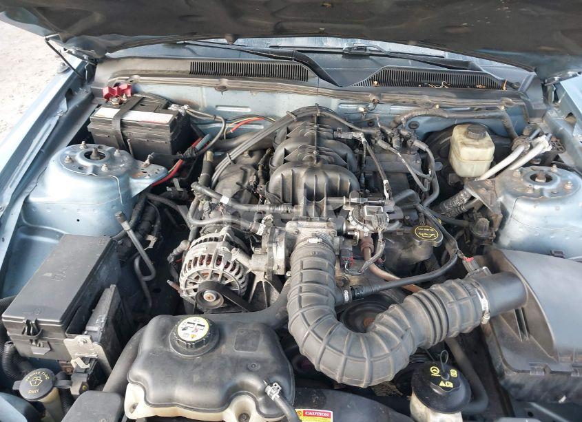 Photo 10 of 2006 Ford Mustang V6 (VIN 1ZVFT80N865145906)