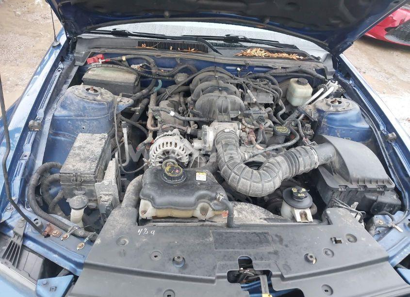 Photo 10 of 2006 Ford Mustang V6 (VIN 1ZVFT80N865162611)