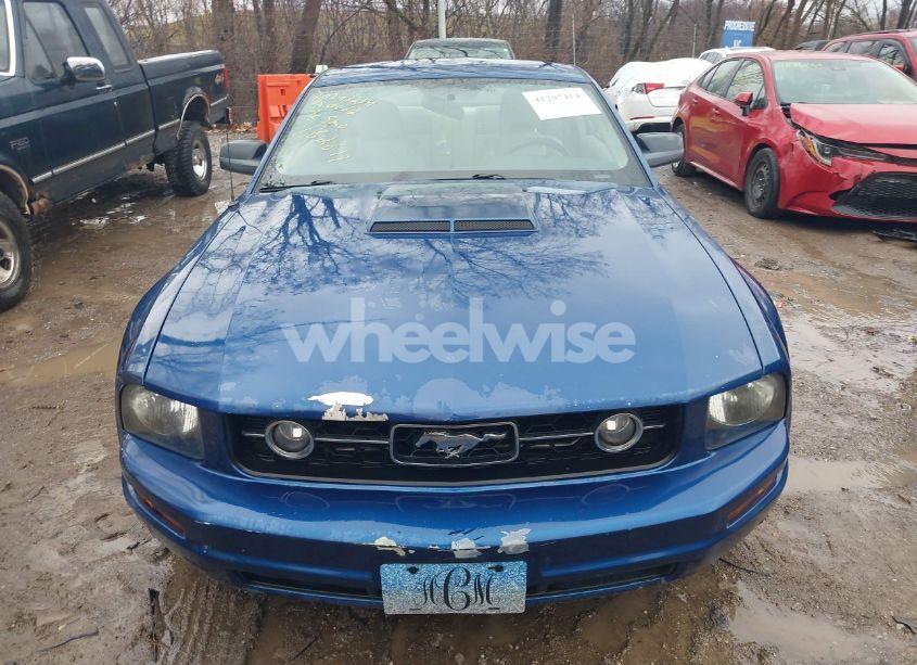 Photo 12 of 2006 Ford Mustang V6 (VIN 1ZVFT80N865162611)
